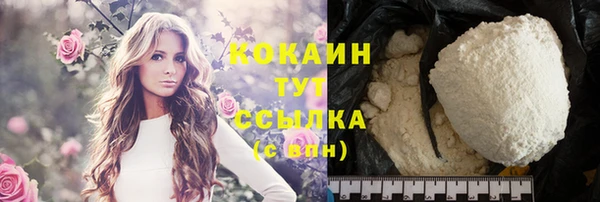 шишки Михайловка