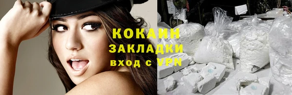 индика Медногорск