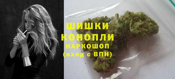 индика Медногорск