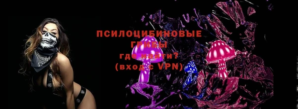 индика Медногорск