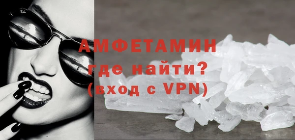 индика Медногорск