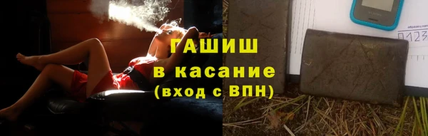 индика Медногорск