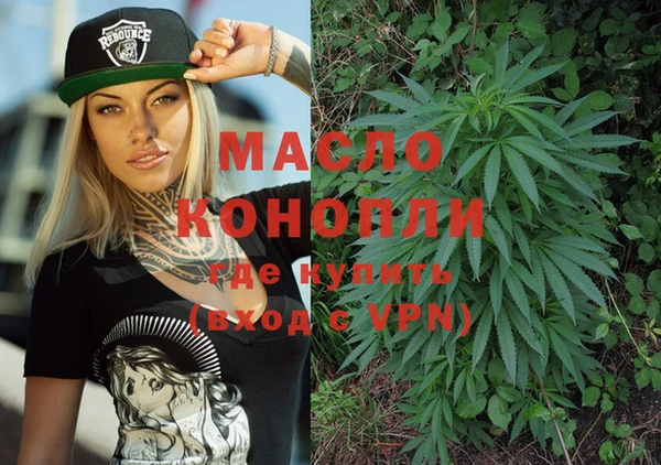индика Медногорск