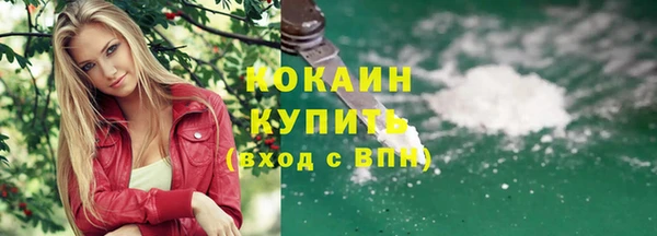 индика Медногорск